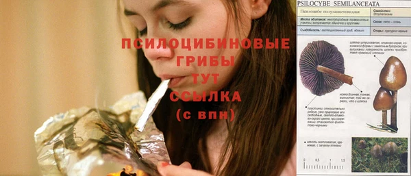 твердый Алексин