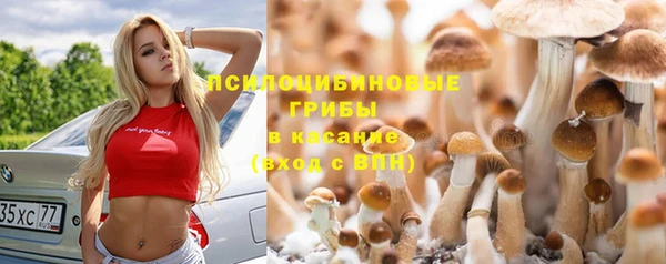 каннабис Абаза