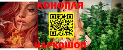 прущие крисы Рязань