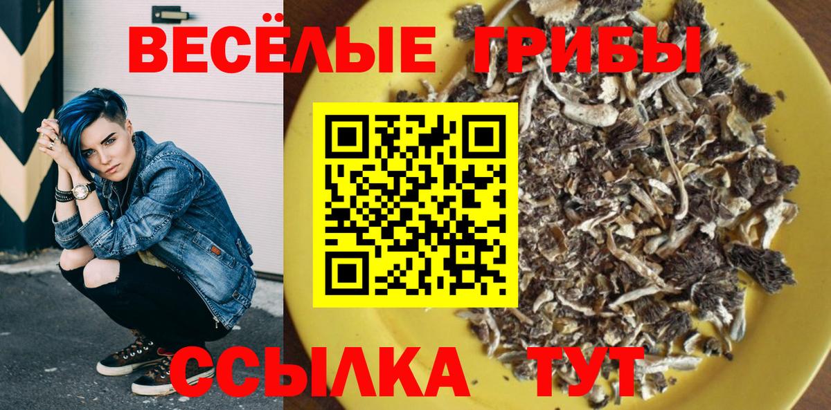 Галлюциногенные грибы ЛСД  Вход с VPN  Фролово 